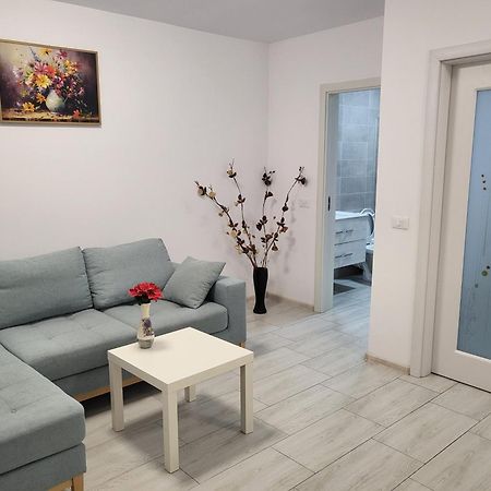 Apartament Alex, Dem Radulescu Рымнику-Вылча Экстерьер фото